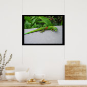 Goudstofdaggekko-poster Poster (Keuken)