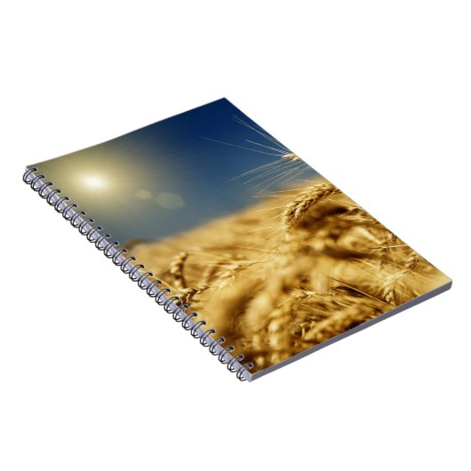 Goudtarwe en blauwe hemel met zon notitieboek (Rechterzijde)