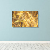 Goudveld (tarweoren) canvas afdruk (Insitu (Houten vloer))