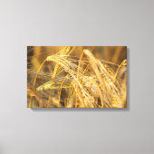 Goudveld (tarweoren) canvas afdruk (Voorkant)