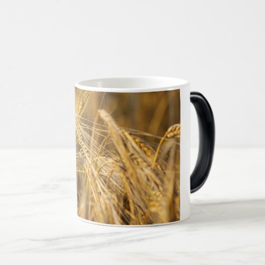 Goudveld (tarweoren) magische mok (Voorkant rechts)