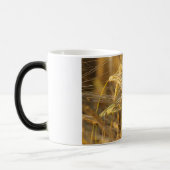 Goudveld (tarweoren) magische mok (Links)