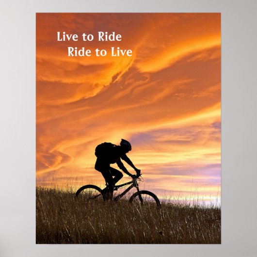 goudvelden poster (Voorkant)