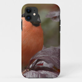 Goudvink iPhone 11 Hoesje