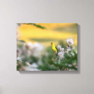 goudvink en distel herfst canvas afdruk