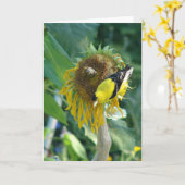 Goudvink en een zonnebloem kaart (Gele Bloem)