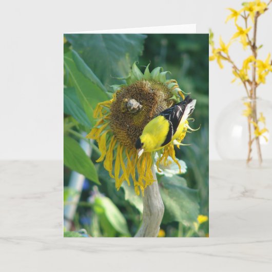 Goudvink en een zonnebloem kaart (Gele Bloem)