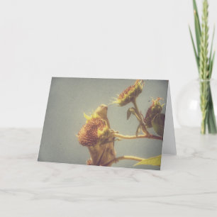 Goudvink en een zonnebloem Retro Fotografie Kaart