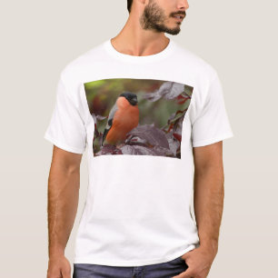 Goudvink T-shirt