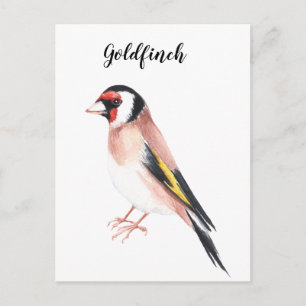 Goudvink waterverf schilderde vogel. Mooie kaart. Briefkaart