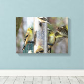 Goudvinken bij de feeder canvas afdruk (Insitu (Houten vloer))