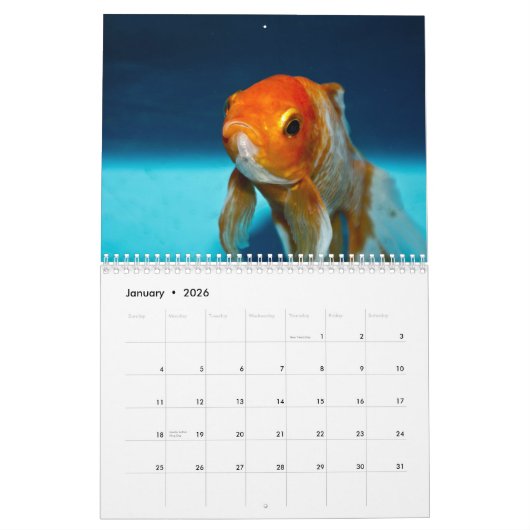 Goudvis 2025 kalender (Jan 2026)