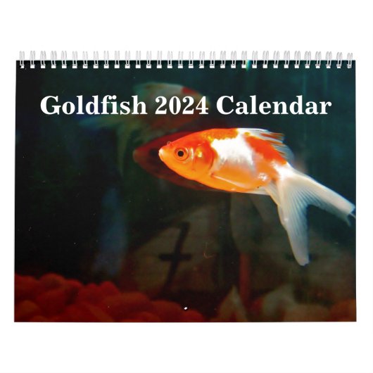 Goudvis 2025 kalender (Hoes)