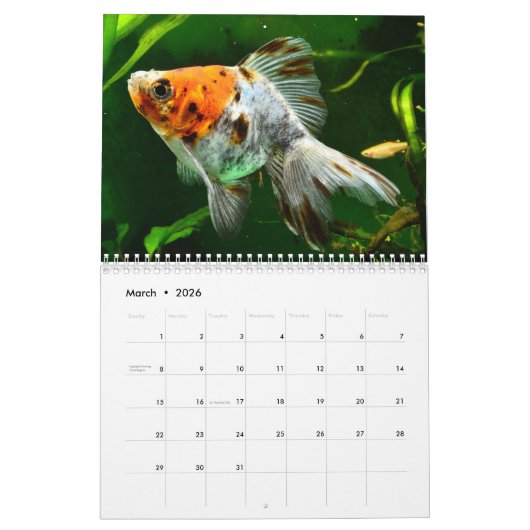 Goudvis 2025 kalender (Mar 2026)