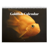 Goudvis 2025 kalender (Hoes)