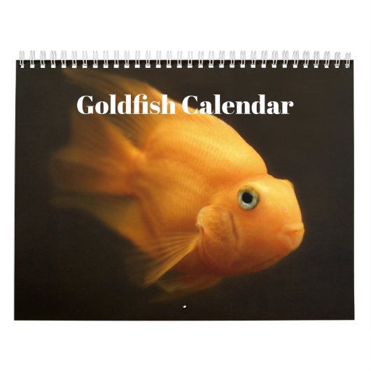 Goudvis 2025 kalender (Hoes)