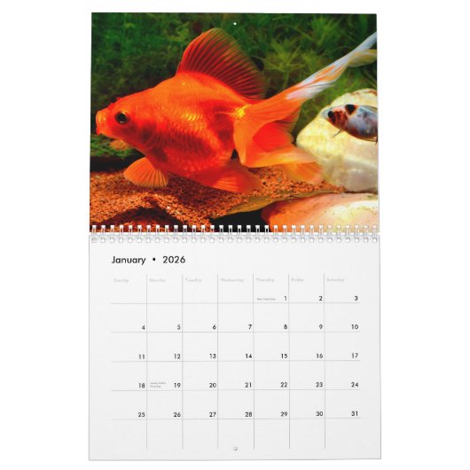 Goudvis 2025 kalender (Jan 2026)