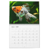 Goudvis 2025 kalender (Mar 2027)