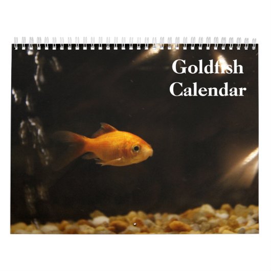 Goudvis 2027 kalender (Hoes)