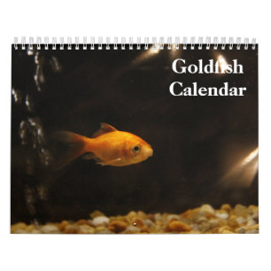 Goudvis 2027 kalender