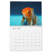 Goudvis 2027 kalender (Jan 2027)