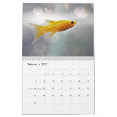 Goudvis 2027 kalender (Feb 2027)