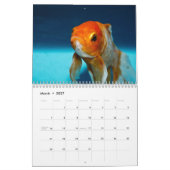 Goudvis 2027 kalender (Mar 2027)