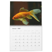 Goudvis 2027 kalender (Jan 2027)