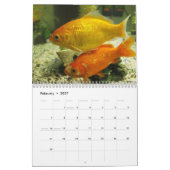 Goudvis 2027 kalender (Feb 2027)