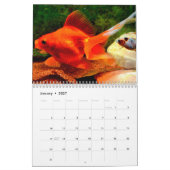 Goudvis 2027 kalender (Jan 2027)