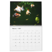 Goudvis 2027 kalender (Feb 2027)