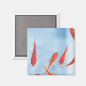 Goudvis 2 magneet (Voorkant / Achterkant)