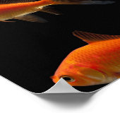 Goudvis 2 poster (Hoek)