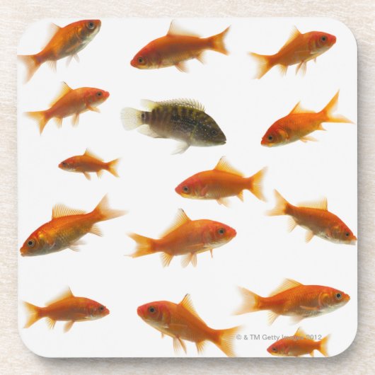 Goudvis 3 bier onderzetter (Voorkant)