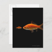 Goudvis 3 briefkaart (Voorkant / Achterkant)