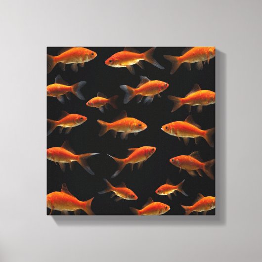 Goudvis 3 canvas afdruk (Voorkant)