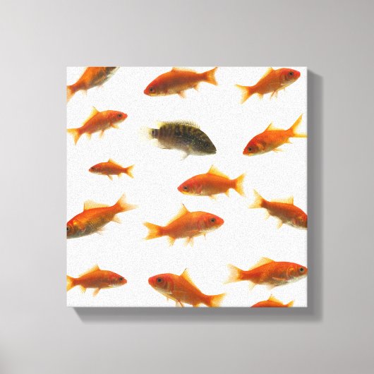 Goudvis 4 canvas afdruk (Voorkant)