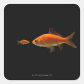 Goudvis 4 vierkante sticker (Voorkant)