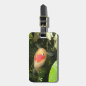 Goudvis - Aangepast Bagagelabel (Voorkant verticaal)