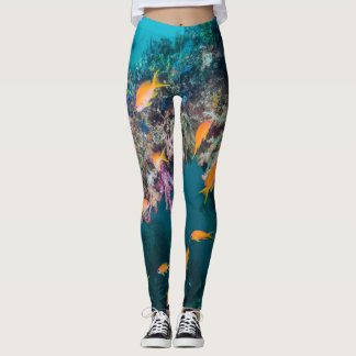 Goudvis Anthias Leggings