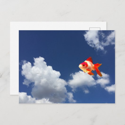 goudvis briefkaart (Voorkant / Achterkant)