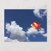 goudvis briefkaart (Voorkant)