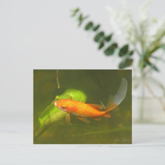 goudvis briefkaart (Staand voorkant)