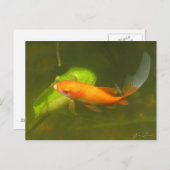 goudvis briefkaart (Voorkant / Achterkant)