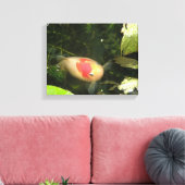Goudvis Canvasprint Canvas Afdruk (Insitu (Woonkamer))