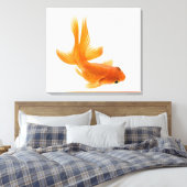 Goudvis (Carassius auratus) 2 Canvas Afdruk (Insitu (Slaapkamer))