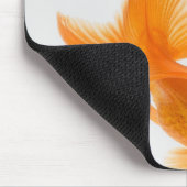 Goudvis (Carassius auratus) 2 Muismat (Hoek)