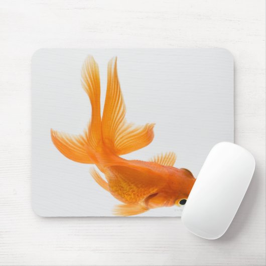 Goudvis (Carassius auratus) 2 Muismat (Met muis)