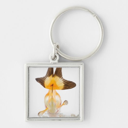 Goudvis (Carassius auratus) 2 Sleutelhanger (Voorkant)