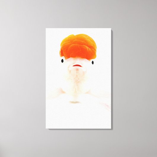 Goudvis (Carassius auratus) Canvas Afdruk (Voorkant)